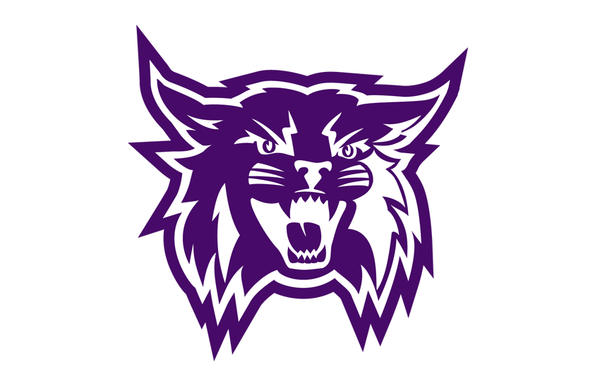 Weber State Wildcats 2022 Helmet Logo diy iron on heat transfer